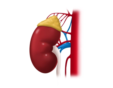 184-D05