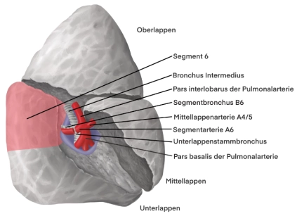 401-A-2_Segment_6