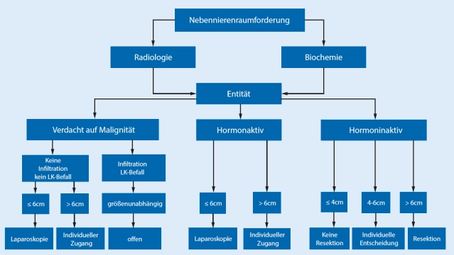148-Behandlungspfad Nebennierenraumforderung