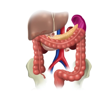 507 Topographische Beziehungen .jpg
