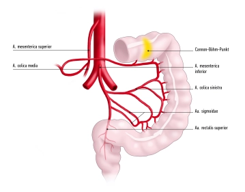 507_Darmdurchblutung_links.jpg