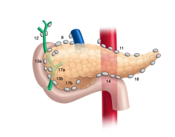 504_AN_03 Lks Zahlen groß Kopie.jpg