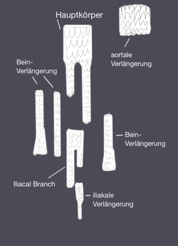 Spezielle Instrumentarien und Haltesysteme