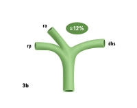 104_LAV_03_b_Gallenwege