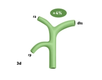 168_LAV_03_d_Gallenwege