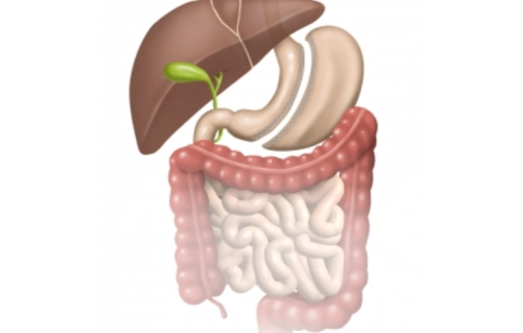 Sleeve-Gastrektomie / Laparaskopischer Magenschlauch
